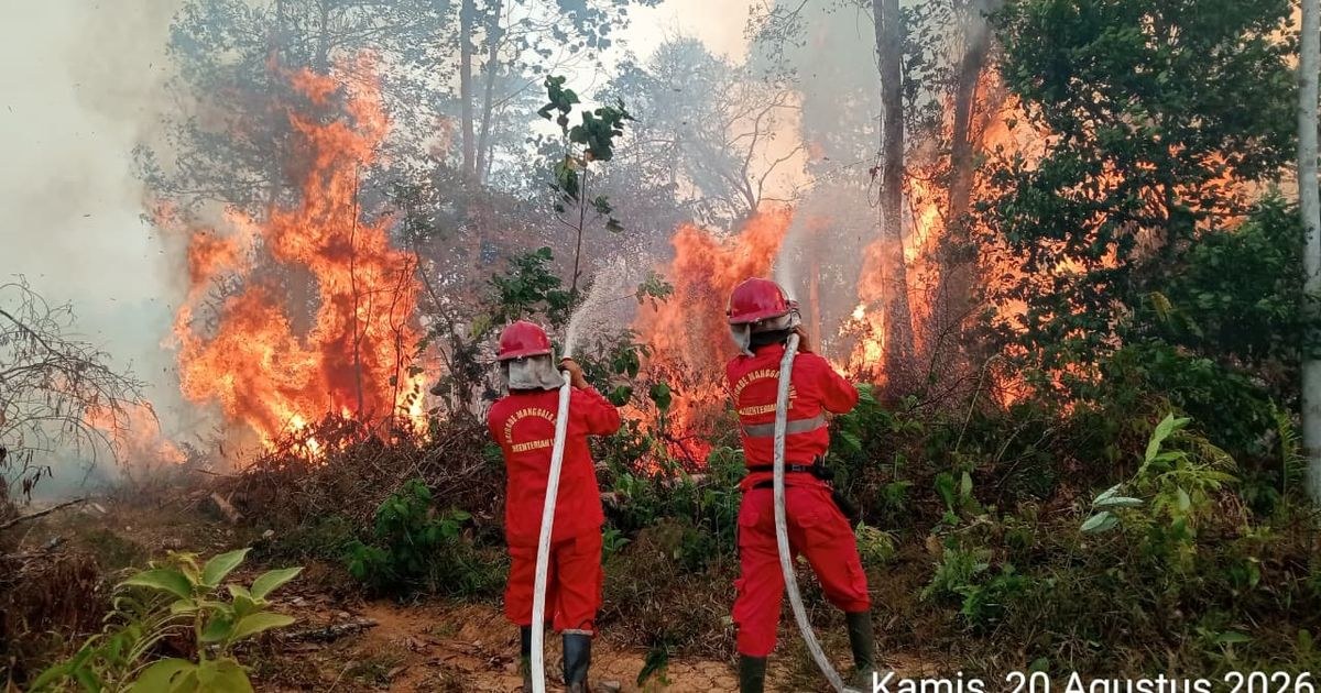 シンガポール、煙霧発生の原因となったインドネシア企業7社を刑事訴追へ