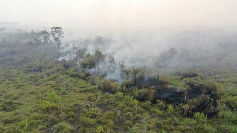 33.425 focos de incêndio em outubro na Indonésia; OKI lidera