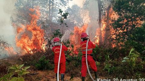 Incêndios florestais em Embung IKN ainda não foram extintos, equipe…