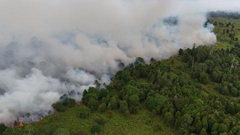 Incêndios florestais no Monte Ciremai se espalham para Majalengka, 3…