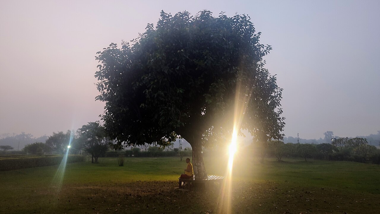 Meditation for Beginners: Benefits and How to Do It