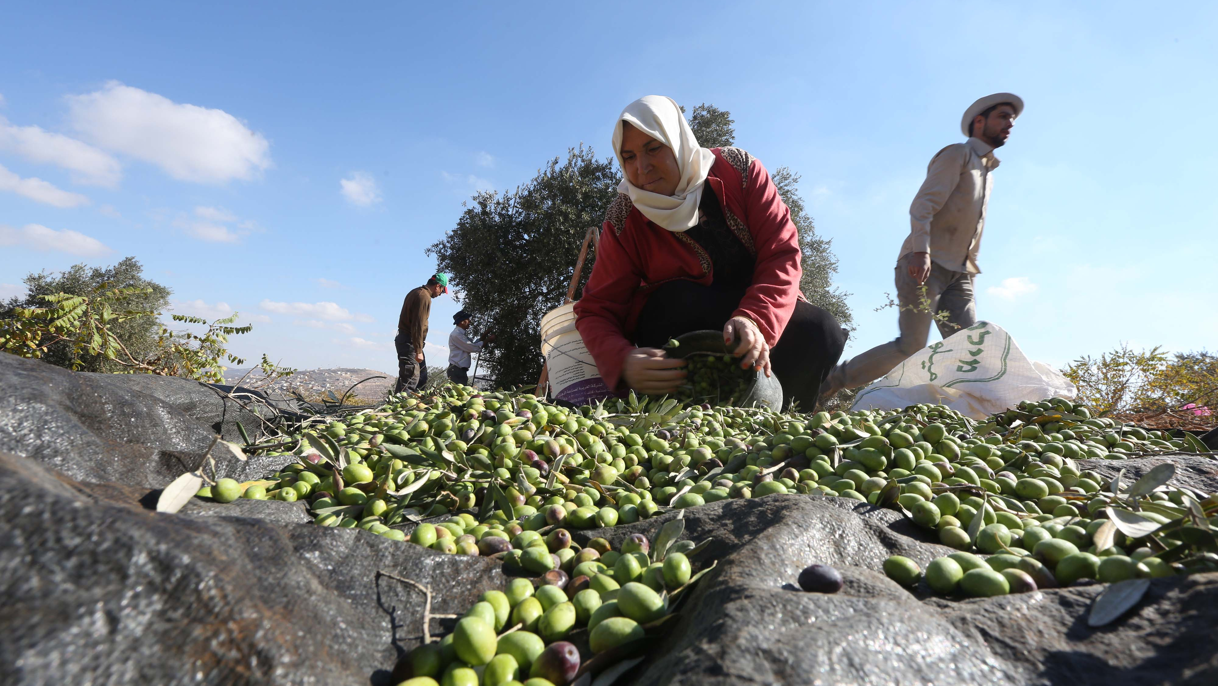 10 Israeli Settlers Arrested After French Mayor Assaulted
